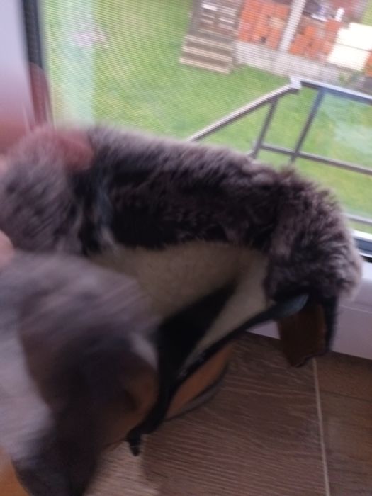 Ghete iarna imblanite