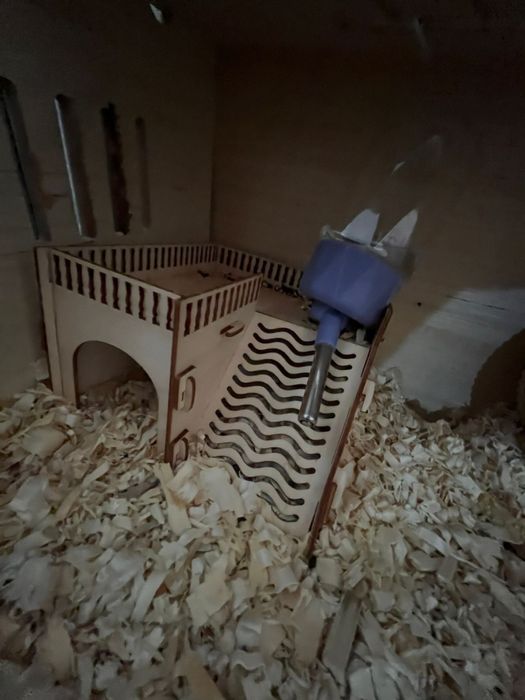 Коробка с хомяками