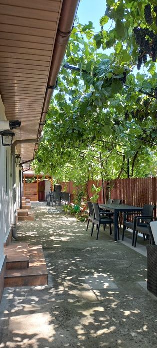 Cazare Costinesti/ Parcul de distracții/ Ideal grupuri