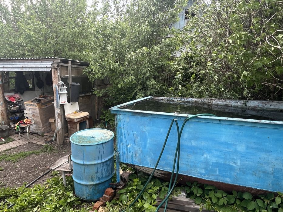 Зимняя дача в лесхозе