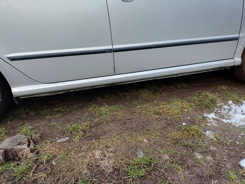Vand Skoda Fabia