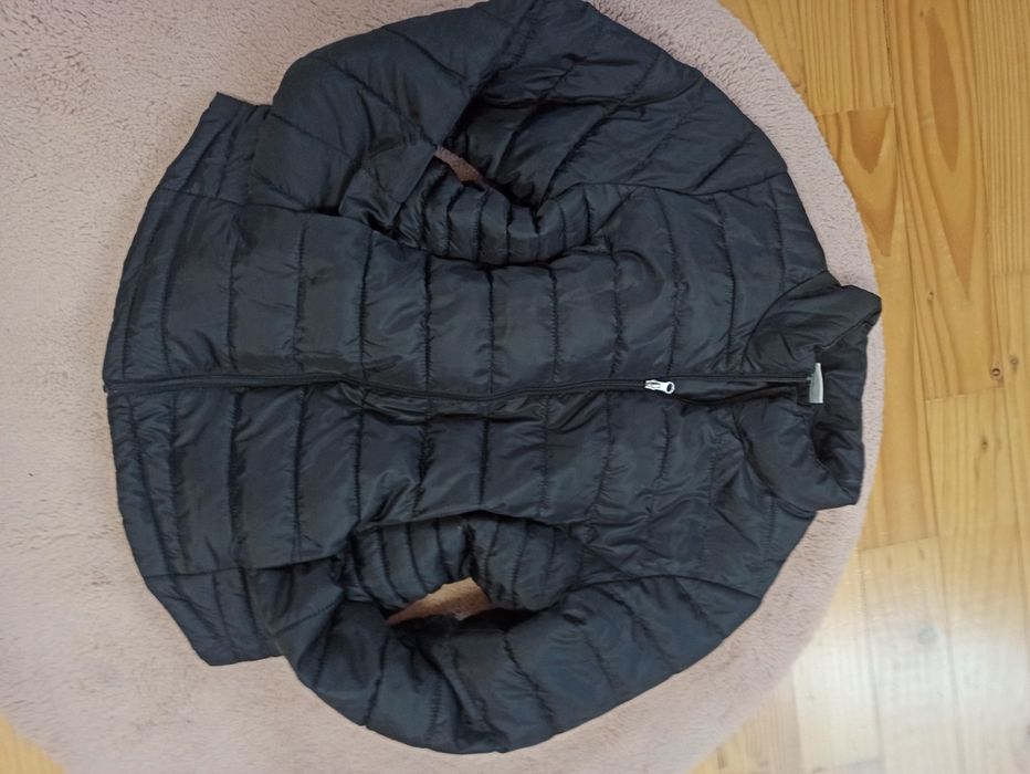 Geci primăvară dama M