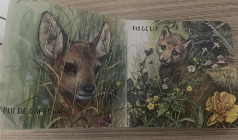 Carte copii editura crisan