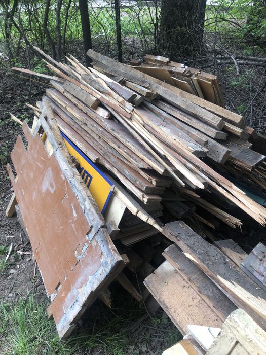 Половой агаш, страпила