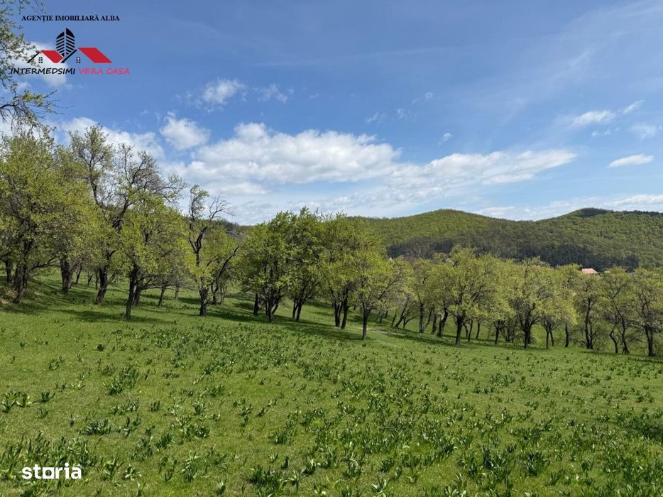 Teren intravilan 8330 mp de vanzare in Inuri Jud Alba