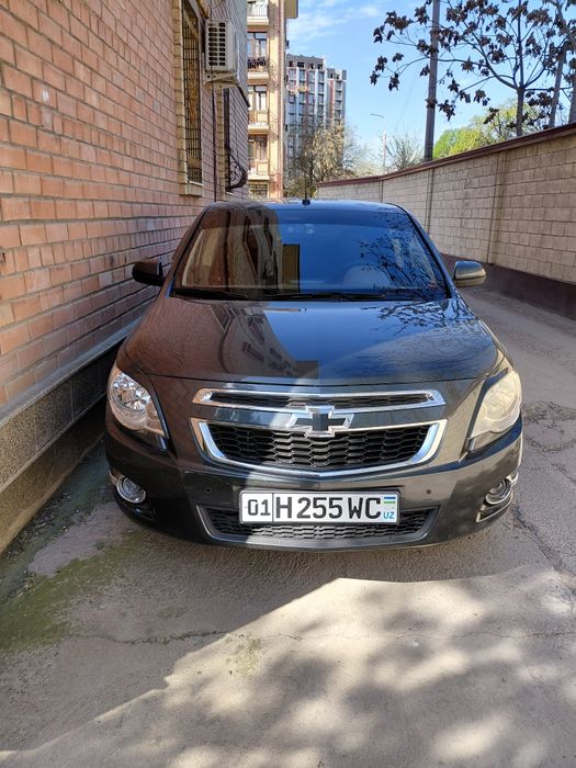 Сотилади, ёки Бу'либ бериш шарти балан Сотилади, Родной краска.