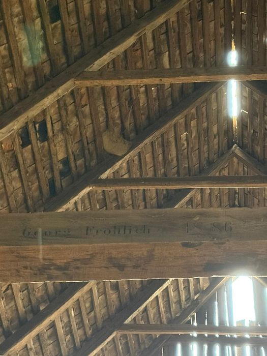 Sură din stejar masiv 1886