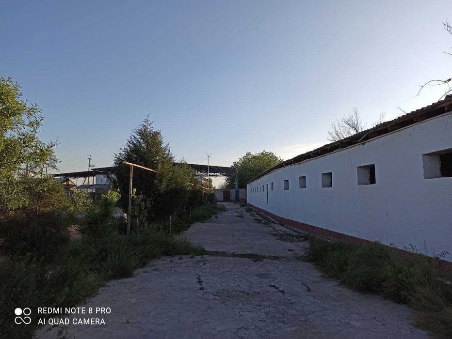 Комплекс: теплица, рыбное хозяйство, ферма, промышленный холодильник!