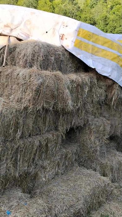 Продавам бали ( по 15 -20 кг ) ливадно сено - ИЗГОДНО !