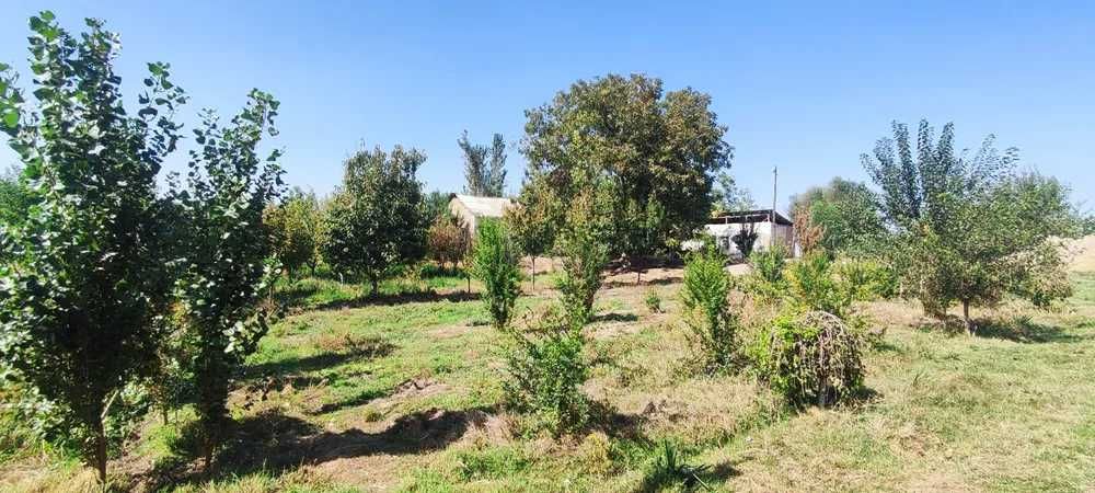 Ипподромдан 16 км Бузсув Навои Янгийулда 27 сот 7 хона уй сотилади.