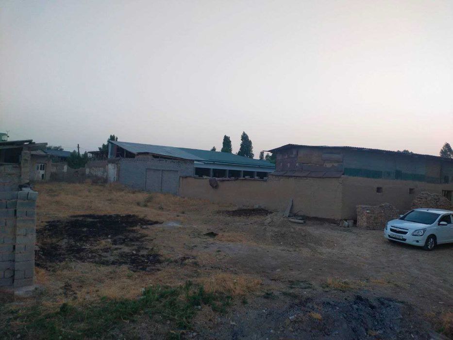 Янгиҳаёт Зангиотадан 6 сотих ер участка сотилади