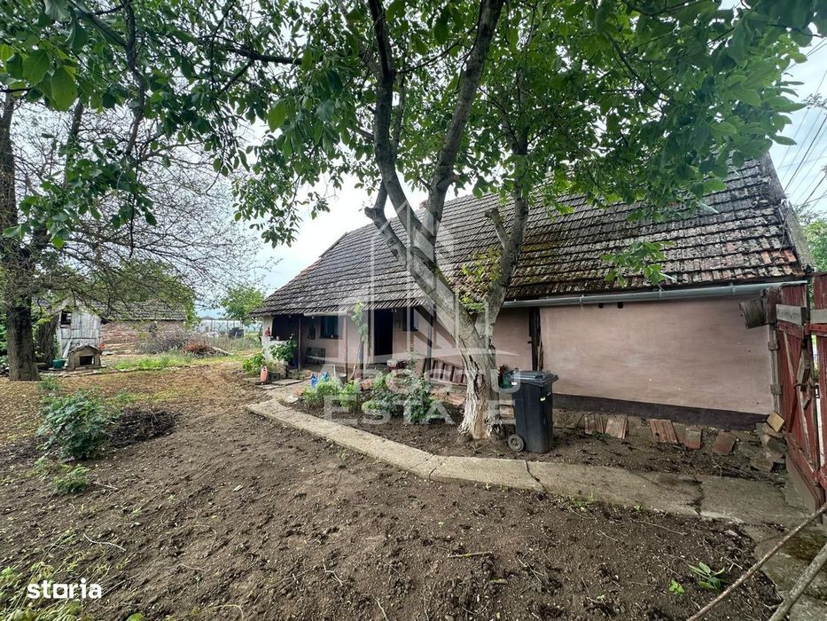 Casa cu teren de vanzare in Zimandu Nou