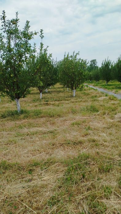 Продам земельный участок