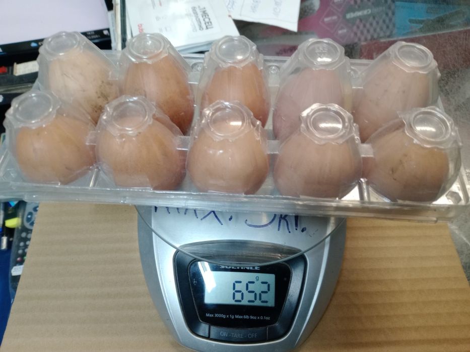 Домашни яйца от дворни кокошки