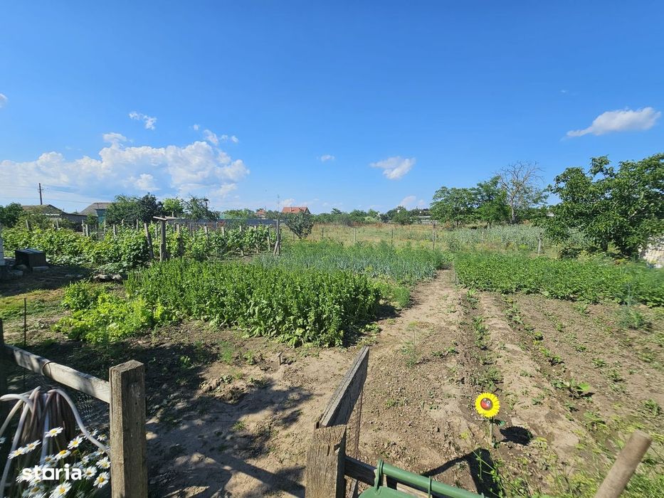 Proprietate exclusivistă în Murighiol -Casa de vacanta in DeltaDunarii
