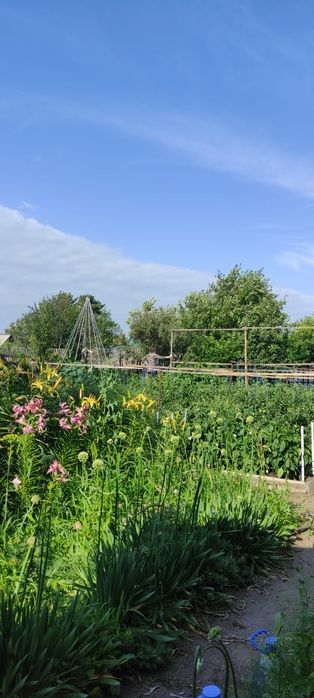 Продам дачу в садоводстве Нефтяник