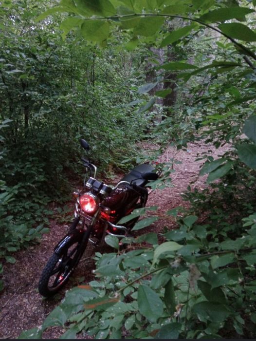 Продам Альфу 23 года