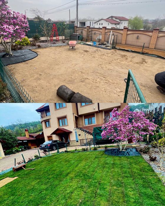 Întreținere Grădini: Tuns Gazon, Gard Viu, Toaletare Pomi & Curățenie Generală