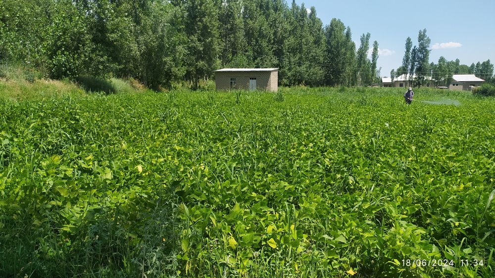 16 sotix yer sotiladi 1 xona uychasi ham bor, yangi maxalla suv, svet