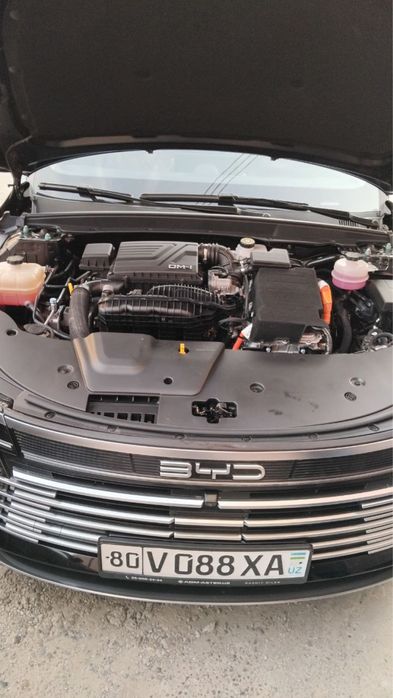 Byd chazor 3-poz 2024/25