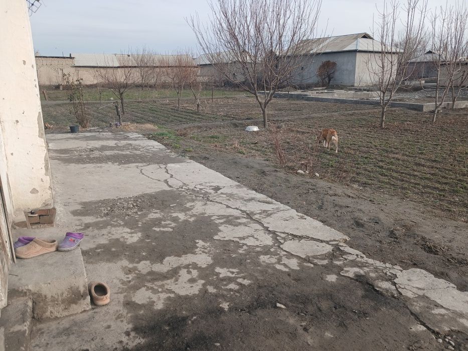 Samarqand vil ishtixon tumani Beshariq mahallasida 8 sotix yer sotilad