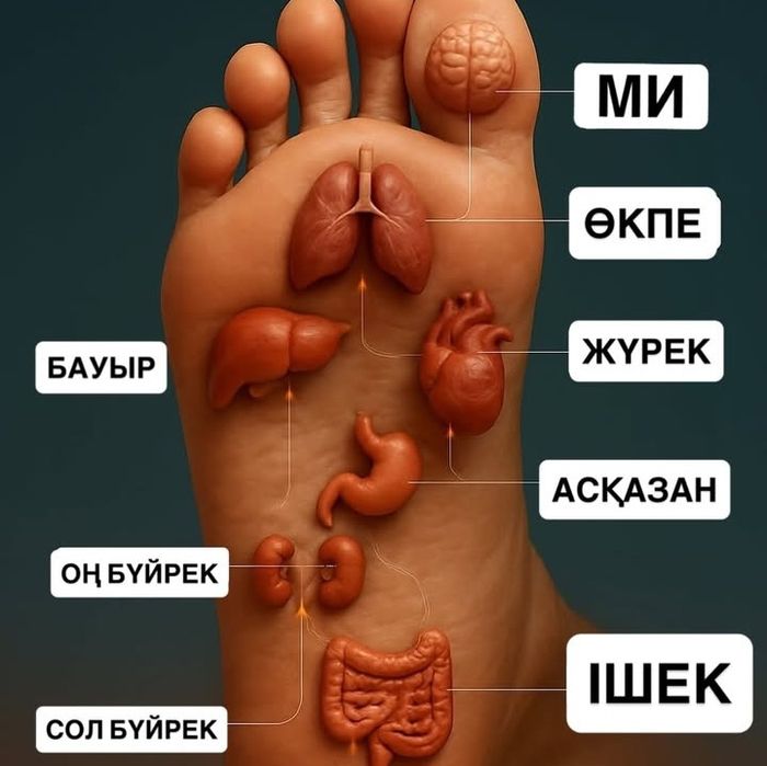 Нууктели емдик массаж