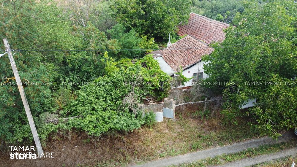 Casă cu teren 777 mp în Bodrogu Vechi - doar 12.500 euro