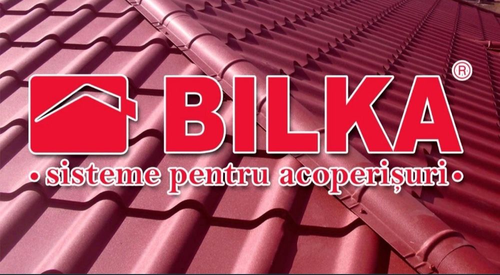 Acoperișuri și reparații