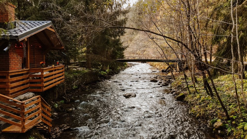 Cabana de inchiriat,zona Sălard!