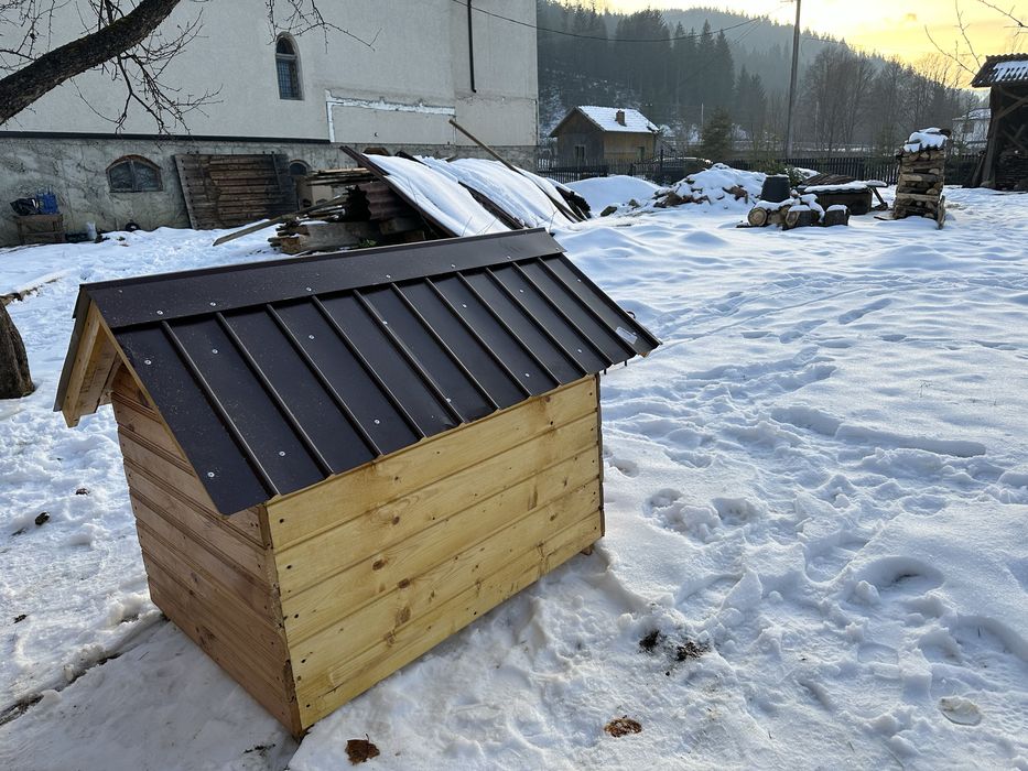 Cusca pentru caine de talie mare