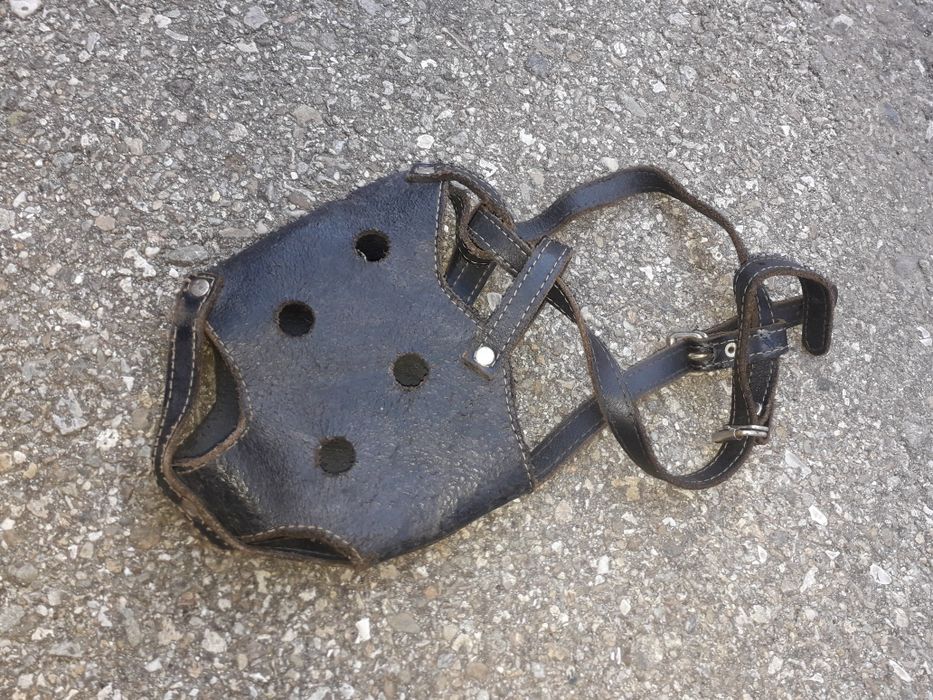 Botnita de piele pt caine