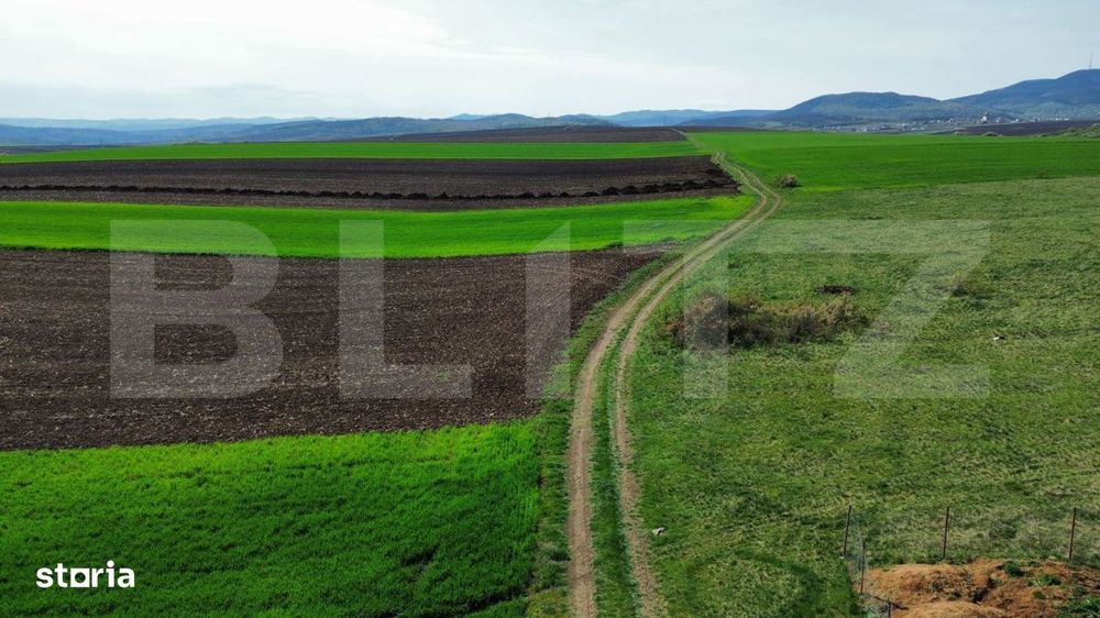 Teren extravilan de vanzare, 2.700 mp - zona Cristur