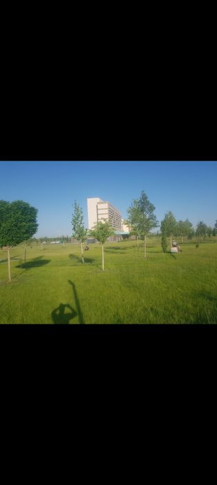 Gazon rulon landshaft