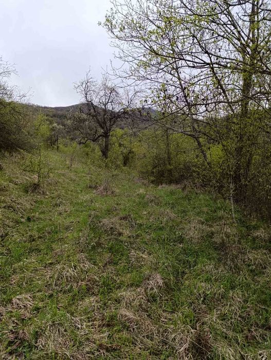 Земеделска  земя