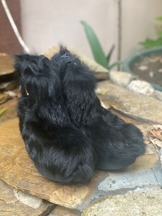 Cizme damă originale