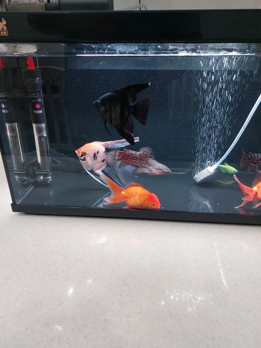 Аквариум 40 л с рыбками