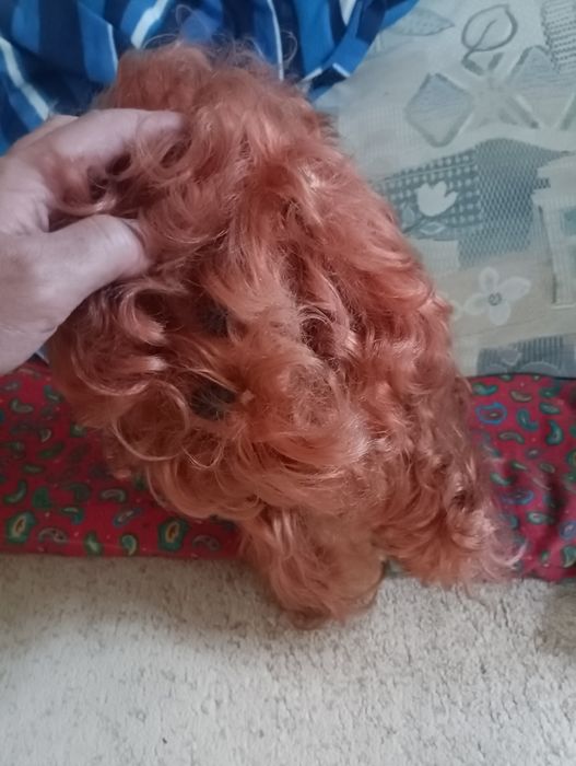 Собачка ретро винтаж