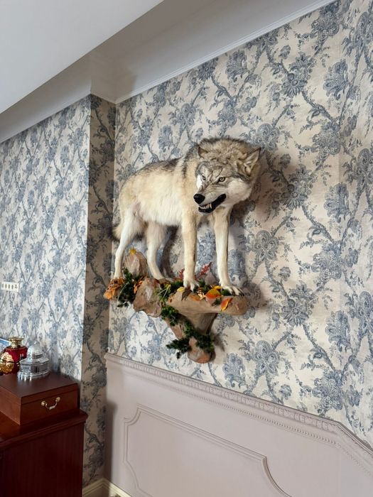 Муж на час ваш мастер