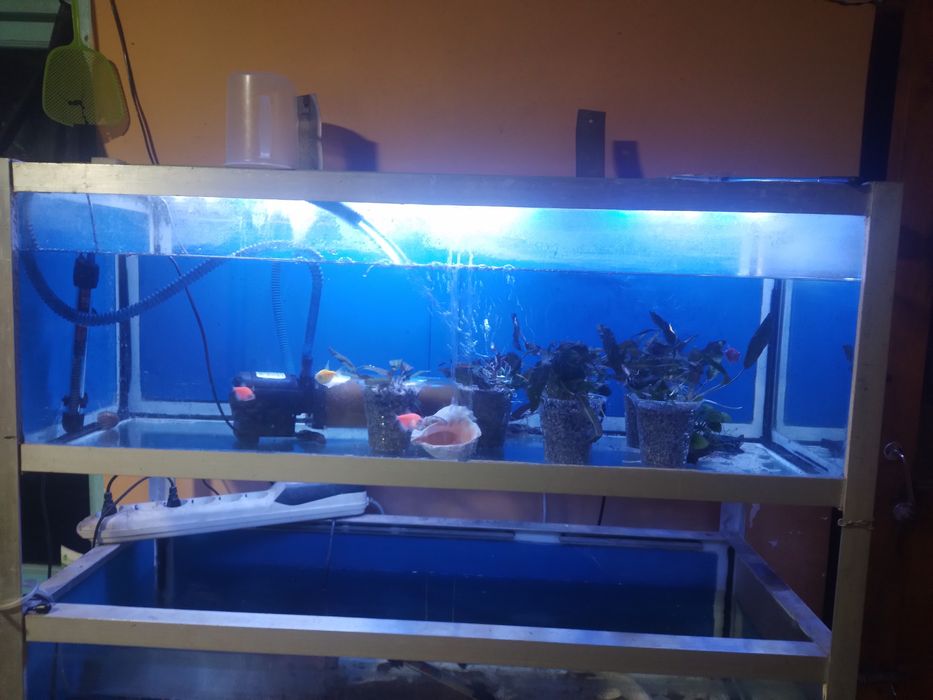 Акварюм стеллаж 120 л