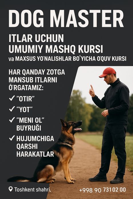 Дрессировка собак и груминг