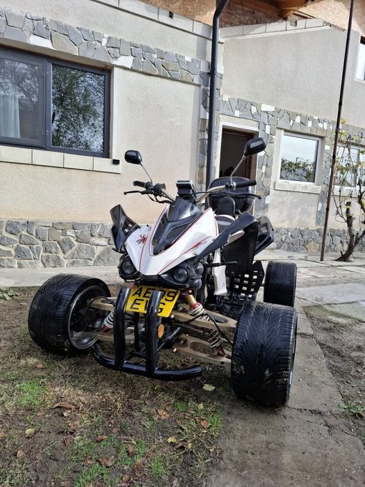 Quad 250cc  2010 65 mil