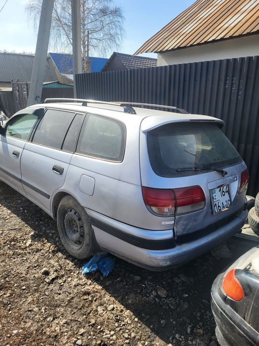 Таиота калдина на разборе