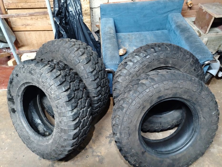 Шина. Дөңгелек. Аяқ)