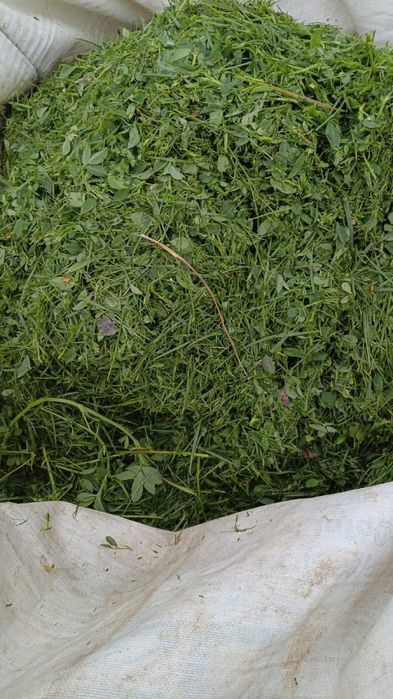 Жонышка шабылган малга