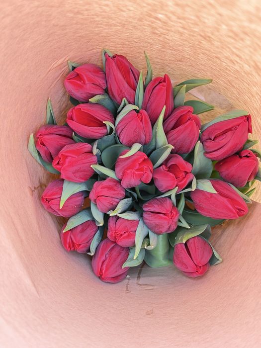 Тюльпаны Алматы-Выгодные цены!