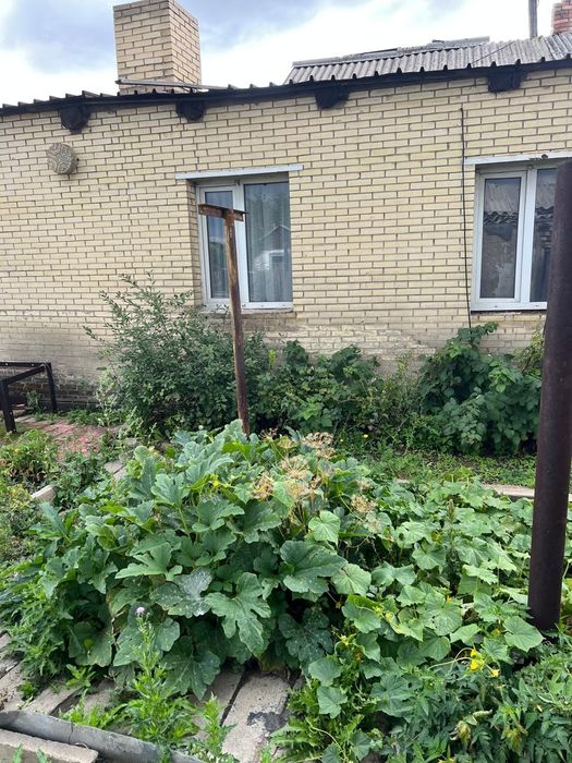 Продается дом на два хозяина  в Новодолинки