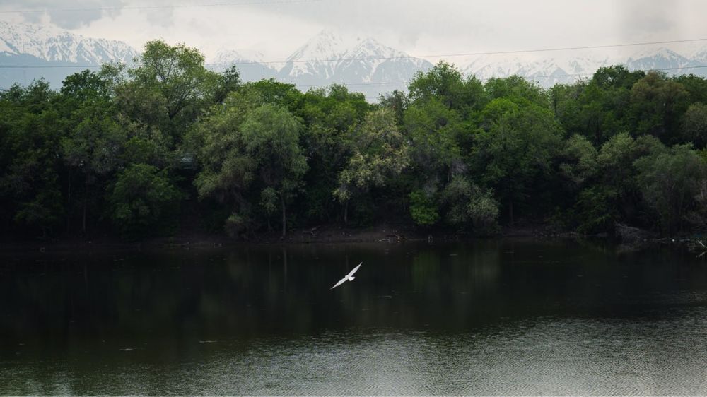 Объектив sony 50MM F1.8 e mount