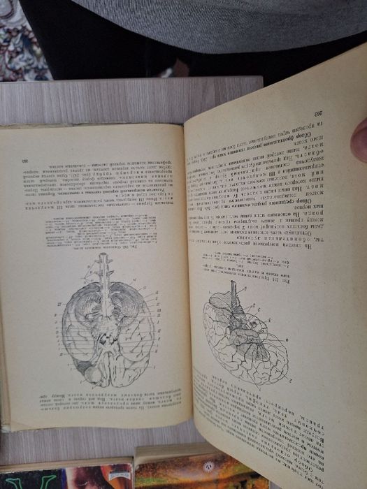 Книга Анатомия для медиков