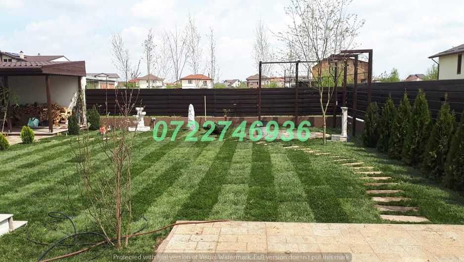 Gazon Natural pentru Curți cu Aspect Profesional