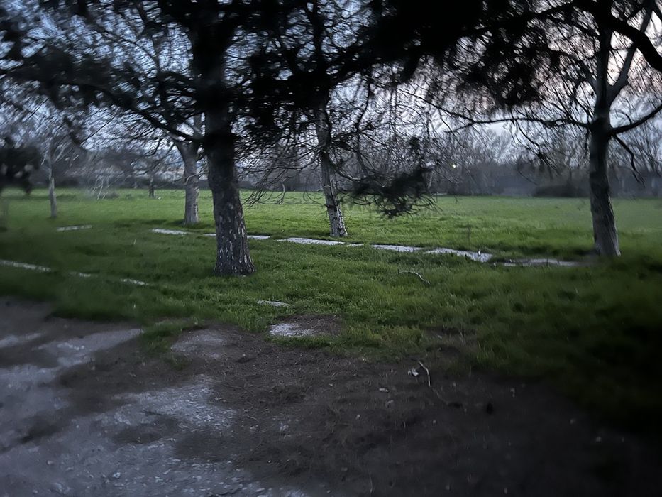 Noturar er binolari bn sotiladi er maydoni 2.5 gektar